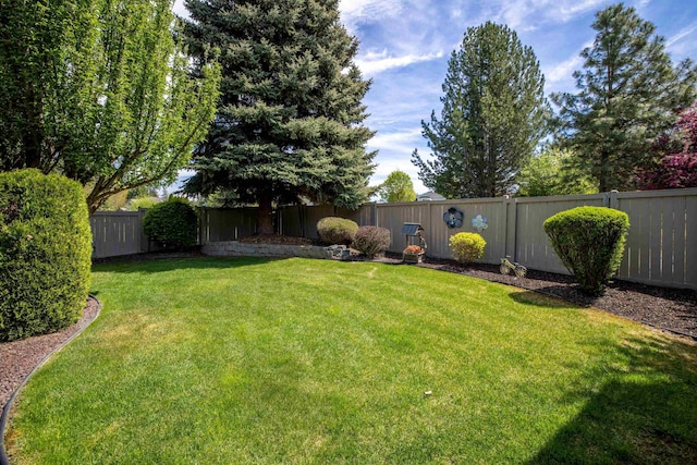 5123 E Lane Park Ct, Mead, WA 99021 - view of yard