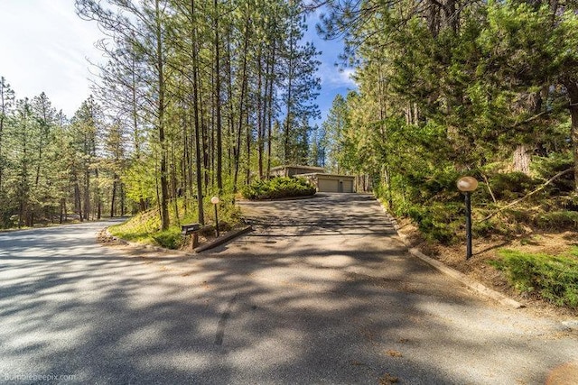 10511 E Cimmaron Dr, Spokane, WA 99206 - view of asphalt driveway featuring a forest view