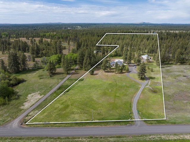 21718 W Watt Rd, Cheney, WA 99004 - view of property location featuring a forest, property parcel outlined, and rural landscape