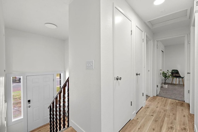 corridor with light wood-style flooring, healthy amount of natural light, and attic access