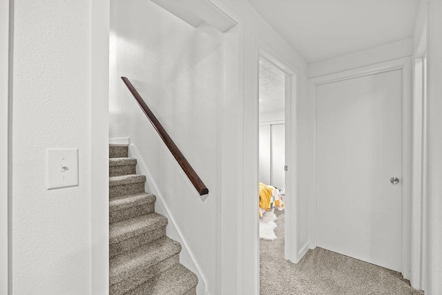 staircase with carpet flooring