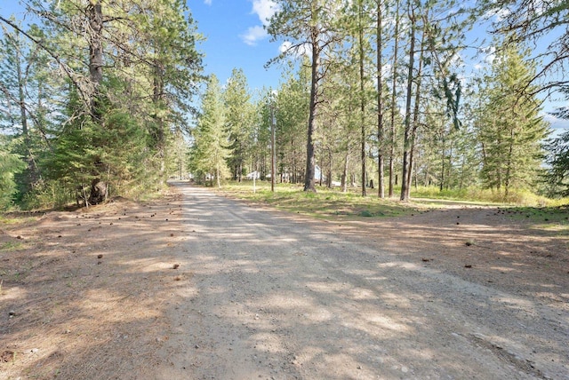 12703 S Alpine Fern Ln, Rockford, WA 99030