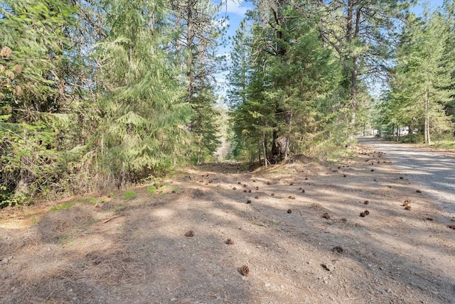12703 S Alpine Fern Ln, Rockford, WA 99030