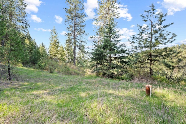 12703 S Alpine Fern Ln, Rockford, WA 99030