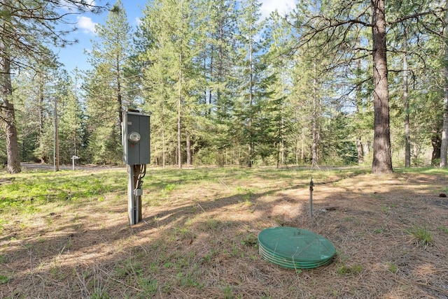 12703 S Alpine Fern Ln, Rockford, WA 99030