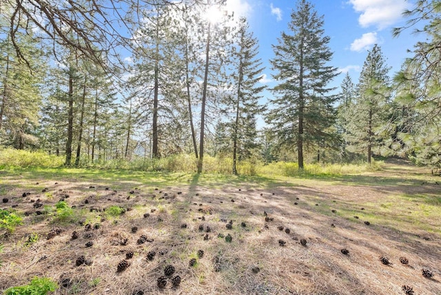 12703 S Alpine Fern Ln, Rockford, WA 99030