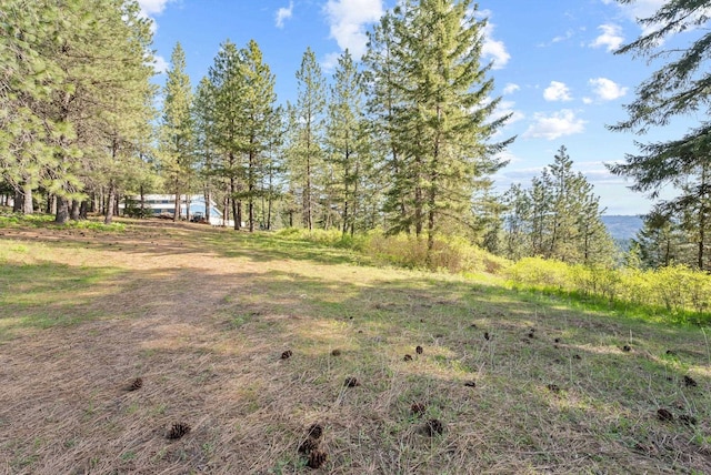 12703 S Alpine Fern Ln, Rockford, WA 99030