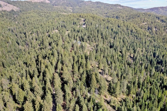 12703 S Alpine Fern Ln, Rockford, WA 99030