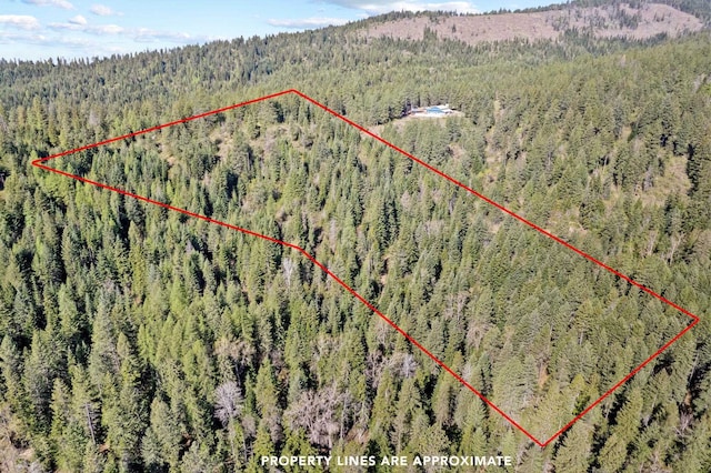 12703 S Alpine Fern Ln, Rockford, WA 99030