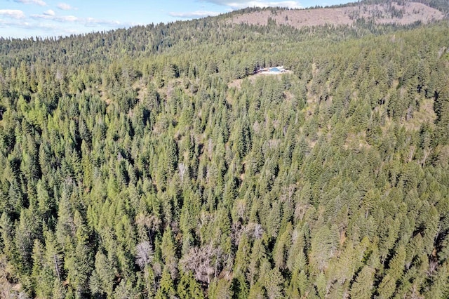 12703 S Alpine Fern Ln, Rockford, WA 99030