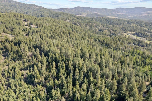 12703 S Alpine Fern Ln, Rockford, WA 99030