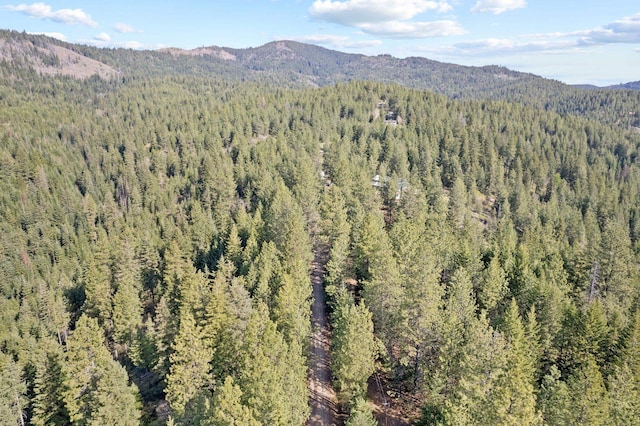 12703 S Alpine Fern Ln, Rockford, WA 99030