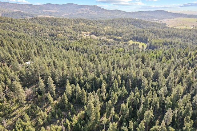 12703 S Alpine Fern Ln, Rockford, WA 99030