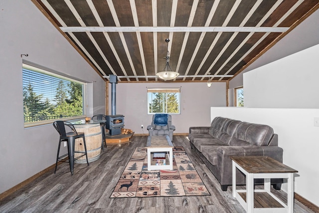 712 Alpen View Ln, Newport, WA 99156 - living area featuring a wood stove, wood finished floors, baseboards, and lofted ceiling