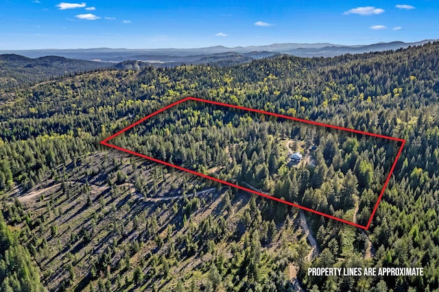 712 Alpen View Ln, Newport, WA 99156 - aerial view of property's location with a forest, a mountainous background, and property boundaries highlighted