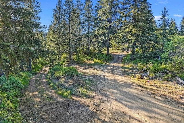 712 Alpen View Ln, Newport, WA 99156 - view of dirt / gravel road with a view of trees