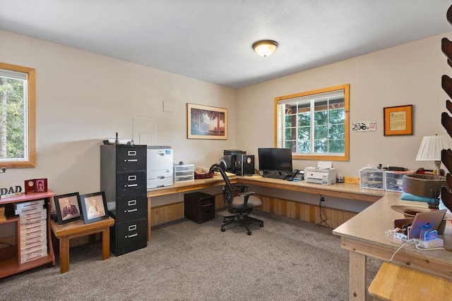 home office with light carpet and healthy amount of natural light