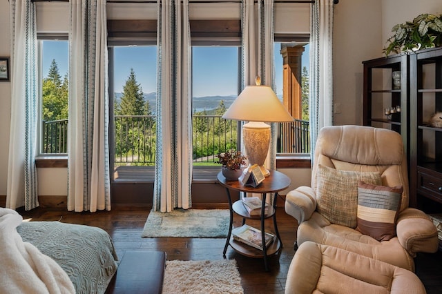 living area featuring plenty of natural light, wood-type flooring, and a mountain view