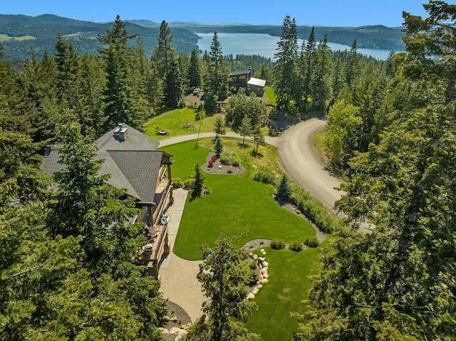 aerial view of a mountain backdrop and a heavily wooded area