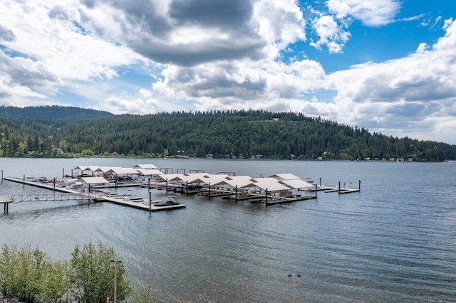 dock featuring a forest view and a water view