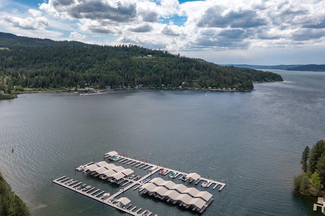 drone / aerial view of a forest and a nearby body of water