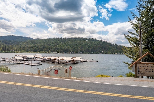 water view featuring a forest and a dock