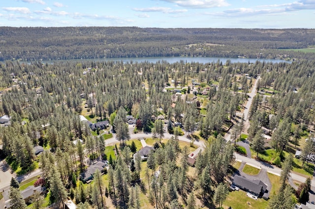 12708 W Greenfield Rd, Nine Mile Falls, WA 99026 - photo 50