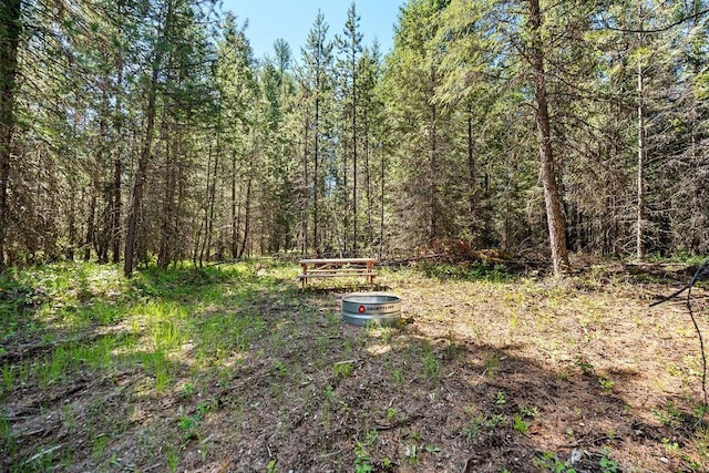 91 Moonlight Ln, Newport, WA 99156 - view of yard with a view of trees