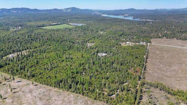 91 Moonlight Ln, Newport, WA 99156 - aerial overview of property's location featuring a heavily wooded area and a water and mountain view