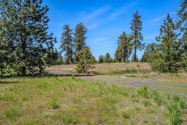 20122 W Johnson Ln, Nine Mile Falls, WA 99026