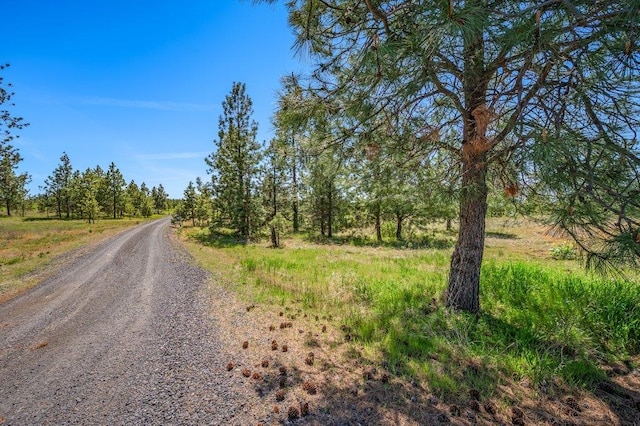 20122 W Johnson Ln, Nine Mile Falls, WA 99026