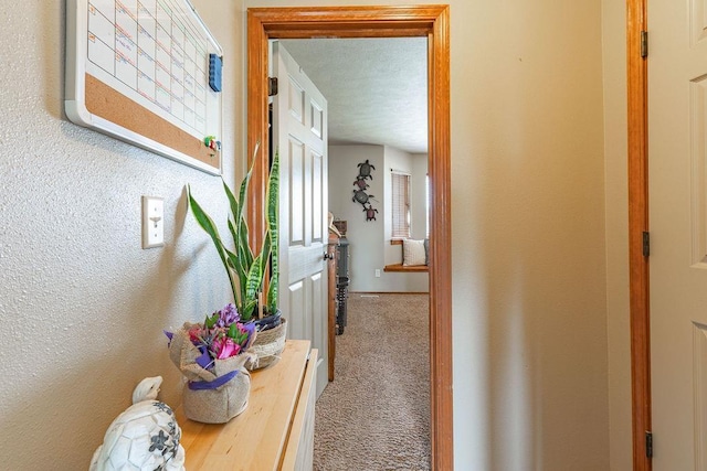 hall featuring carpet and a textured ceiling