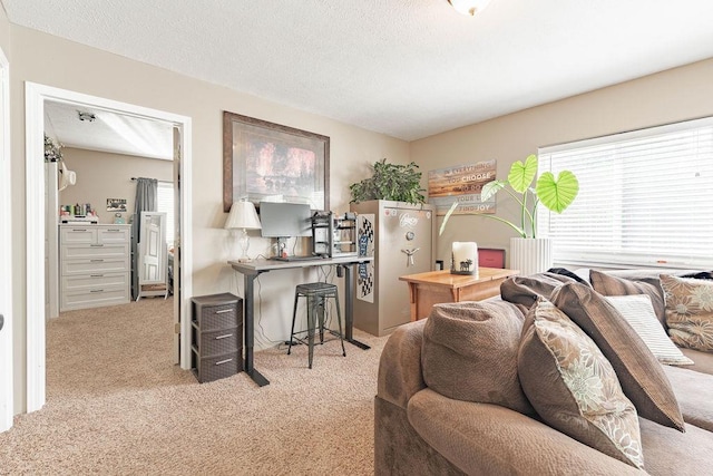 carpeted living room featuring a textured ceiling