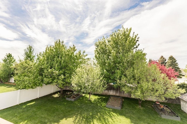 view of yard with a vegetable garden