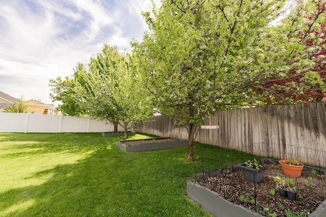 view of yard with a garden