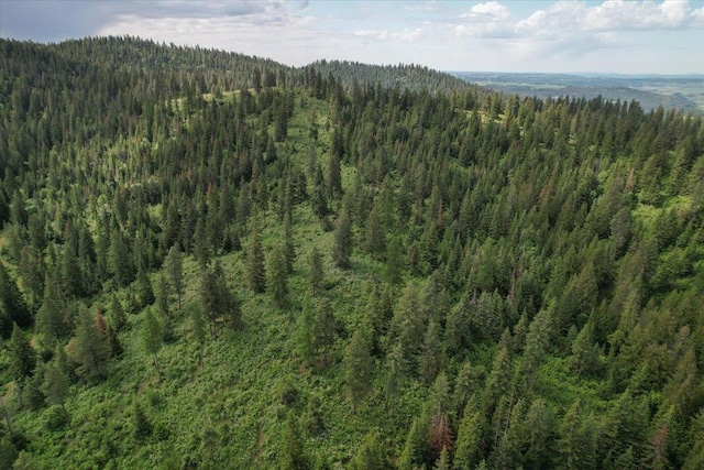 NNA E Bill Gulch Rd, Mead, WA 99021 - photo 2