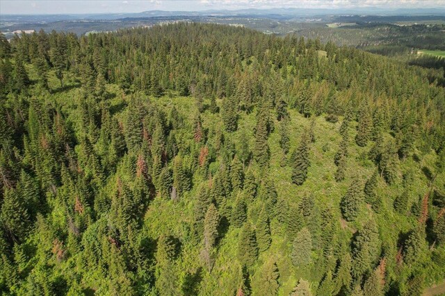 NNA E Bill Gulch Rd, Mead, WA 99021 - photo 11