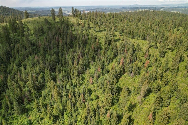 NNA E Bill Gulch Rd, Mead, WA 99021 - photo 12