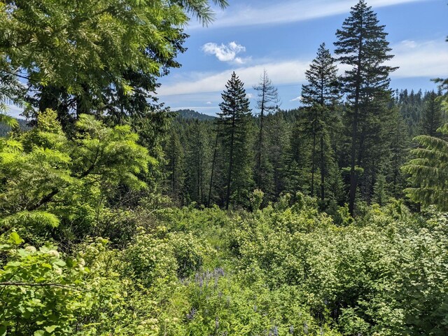 NNA E Bill Gulch Rd, Mead, WA 99021 - photo 13