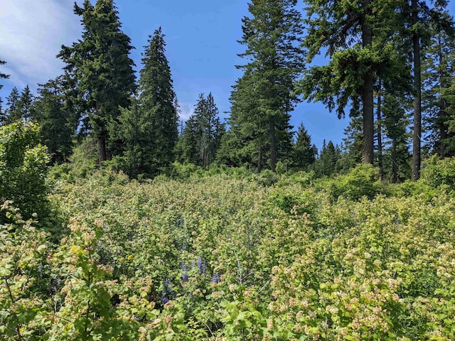 NNA E Bill Gulch Rd, Mead, WA 99021 - photo 14