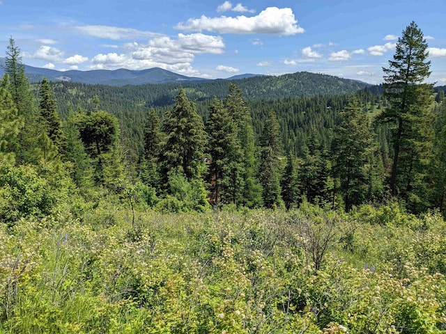 NNA E Bill Gulch Rd, Mead, WA 99021 - photo 15
