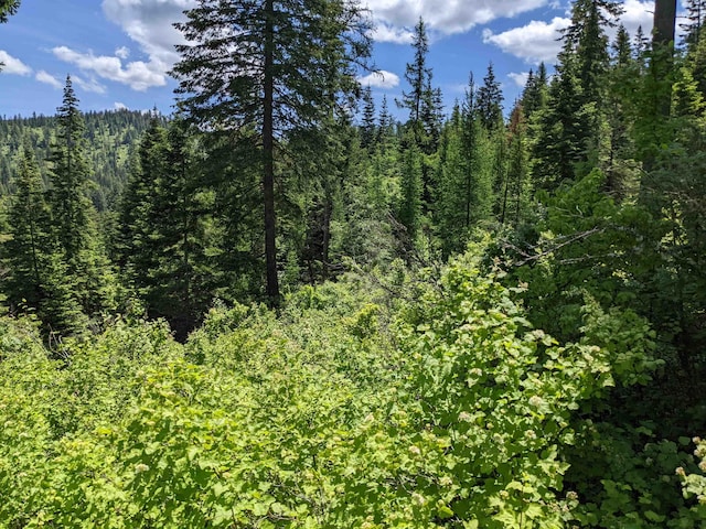 NNA E Bill Gulch Rd, Mead, WA 99021 - photo 16