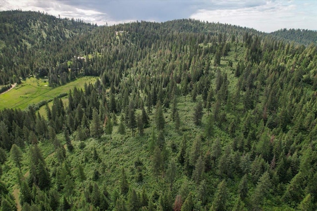 NNA E Bill Gulch Rd, Mead, WA 99021 - photo 4