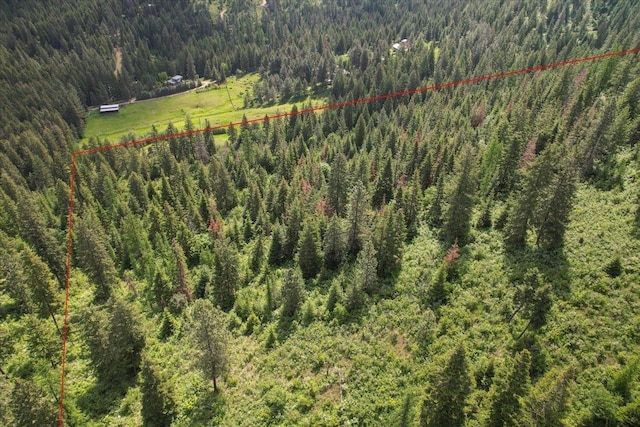 NNA E Bill Gulch Rd, Mead, WA 99021 - photo 5