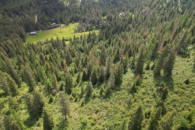 NNA E Bill Gulch Rd, Mead, WA 99021 - photo 6