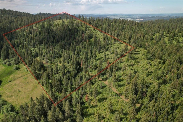 NNA E Bill Gulch Rd, Mead, WA 99021 - photo 7