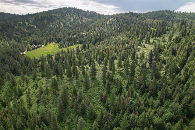 NNA E Bill Gulch Rd, Mead, WA 99021 - photo 9