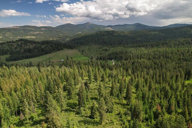 NNA E Bill Gulch Rd, Mead, WA 99021 - photo 10