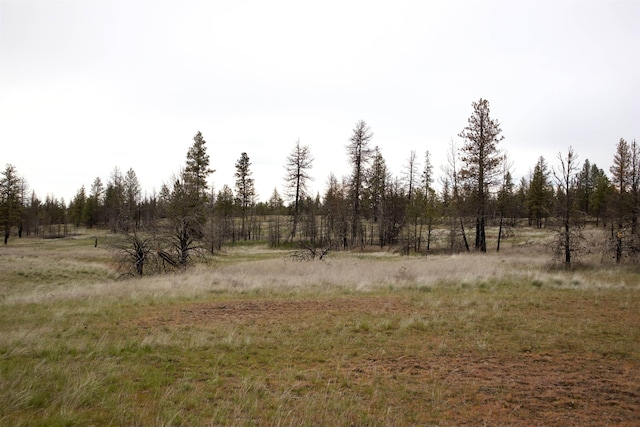 35308 S Long Rd, Cheney, WA 99004