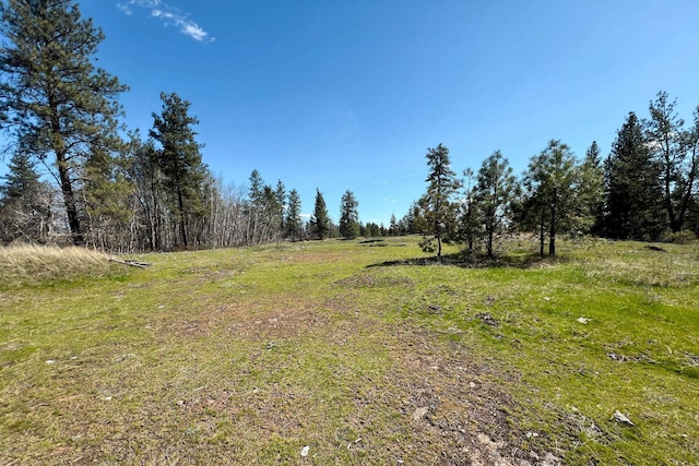 0 S Stangland Rd, Medical Lake, WA 99022